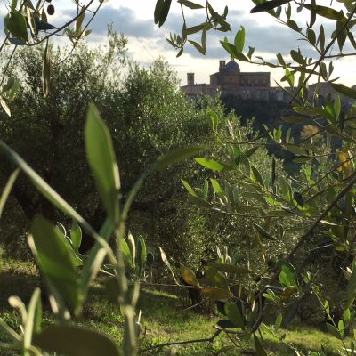 L’olio extravergine