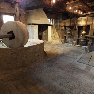 EXTRA-VIRGIN OIL OF MONTE SAN VITO, VERDICCHIO DEI CASTELLI DI JESI AND LACRIMA DI MORRO D’ALBA